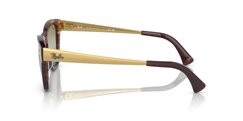 Ray-Ban RB0707SM 954/G4