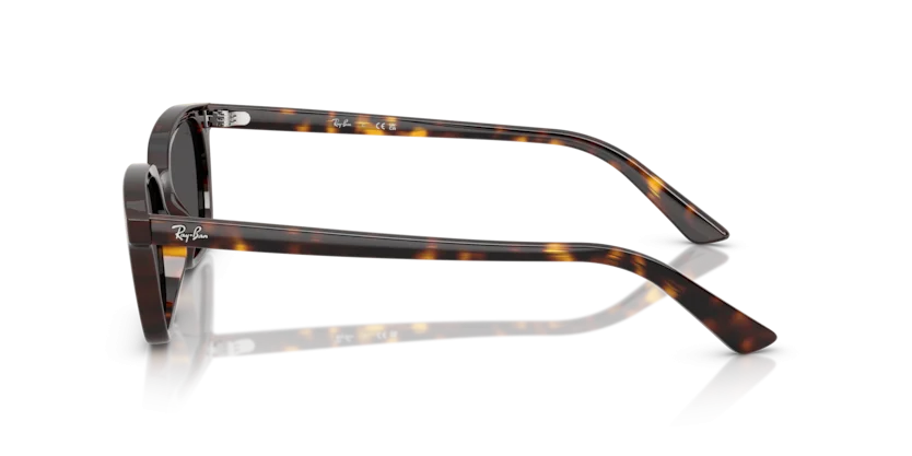 Ray-Ban RB4456F 1359/87