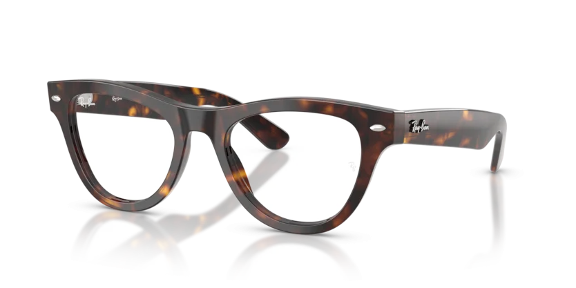 Gọng Kính Ray-Ban RB5510 2012