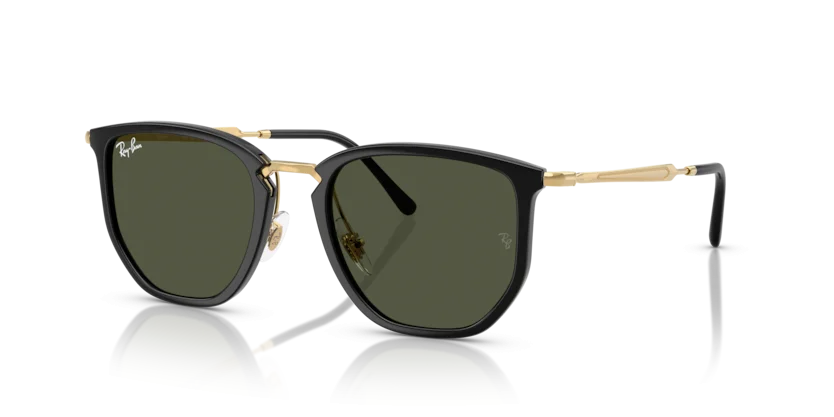 Kính Mát Ray-Ban RB4451 6306/31