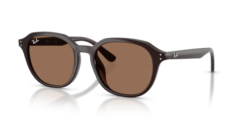 Kính Mát Ray-Ban RB4459D 6231/73