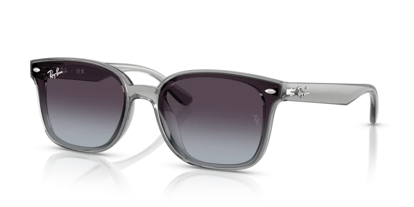 Kính Mát Ray-Ban RB4461D 6450/8G