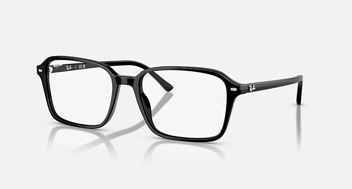 Kính Mát Ray-Ban RB2231F 901/GG