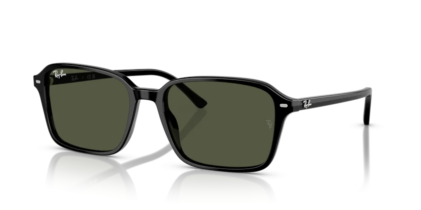 Kính Mát Ray-Ban RB2231F 901/31