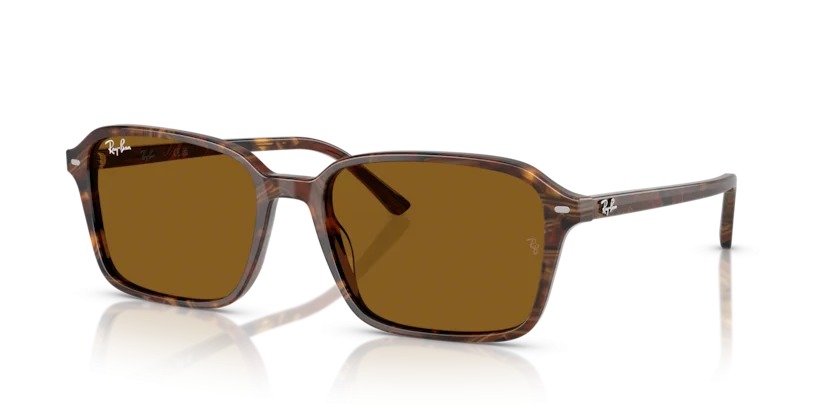 Kính Mát Ray-Ban RB2231F 1418/33