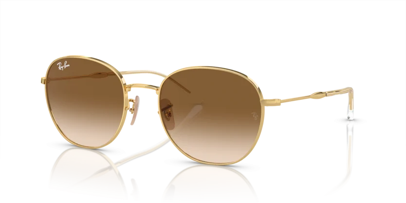 Kính Mát Ray-Ban RB3809 001/51