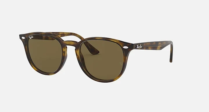 Kính Mát Ray-Ban RB4259F 710/73