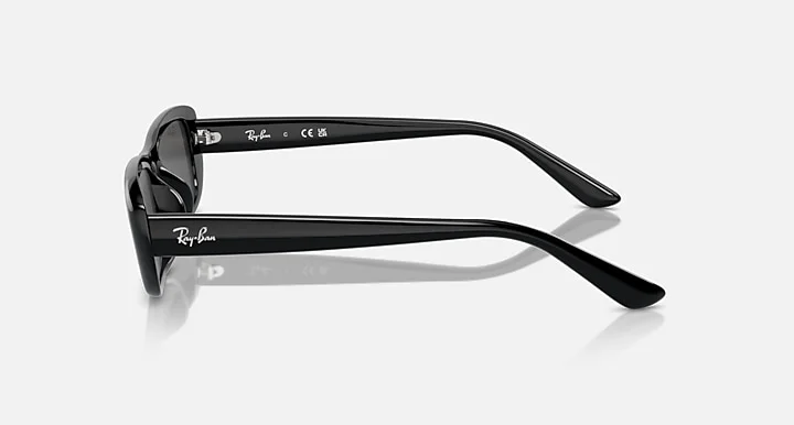 Ray-Ban RB4436D 6677/87