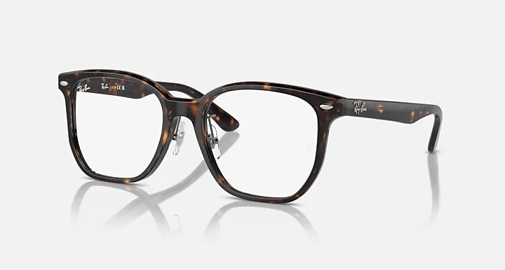Gọng Kính Ray-Ban RB5425D 2012