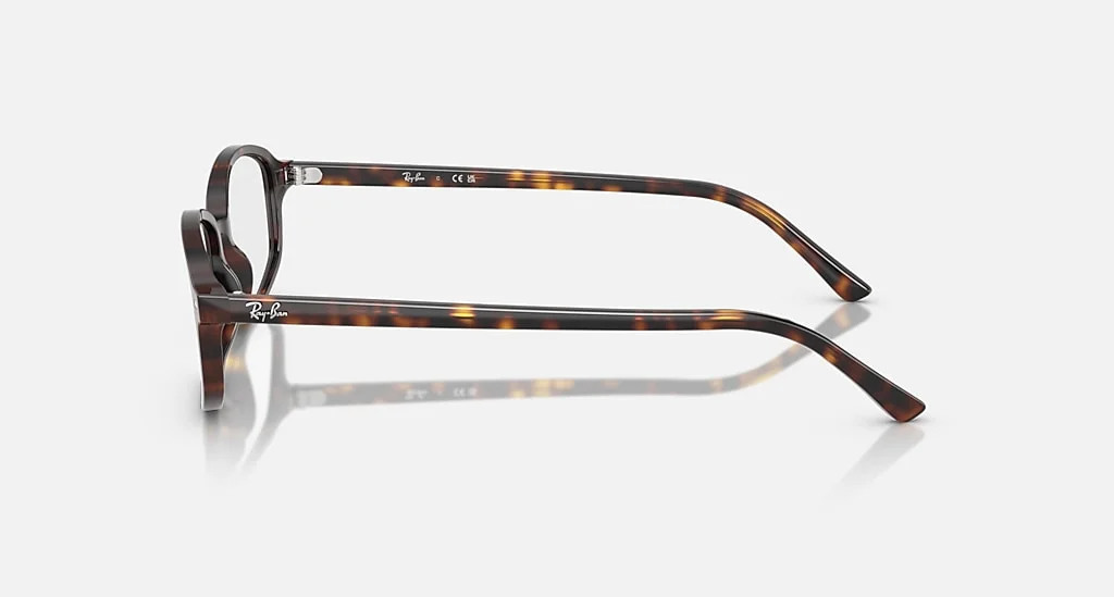 Ray-Ban RB5432 2012