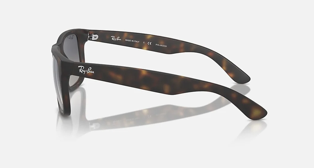 Ray-Ban RB4165 865/8S