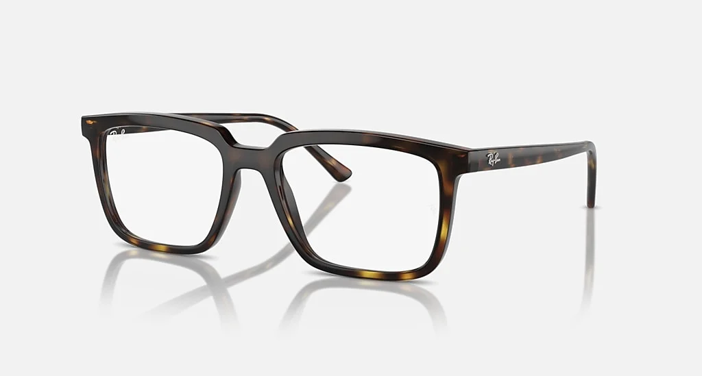 Ray-Ban RX7239F 2012